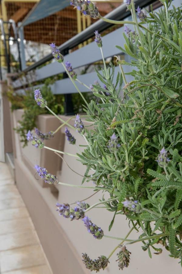 Aromatic Home Kíssamos Eksteriør bilde